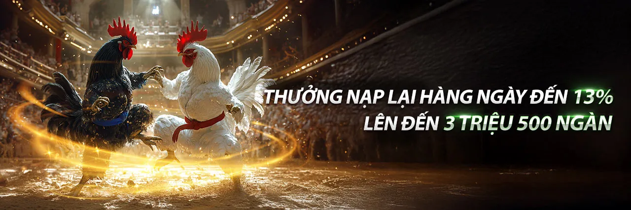 Ưu đãi độc quyền tại bo88 nhà cái